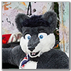 Eurofurence 2014 fursuit photoshoot. Preview picture of Dan Wolfie